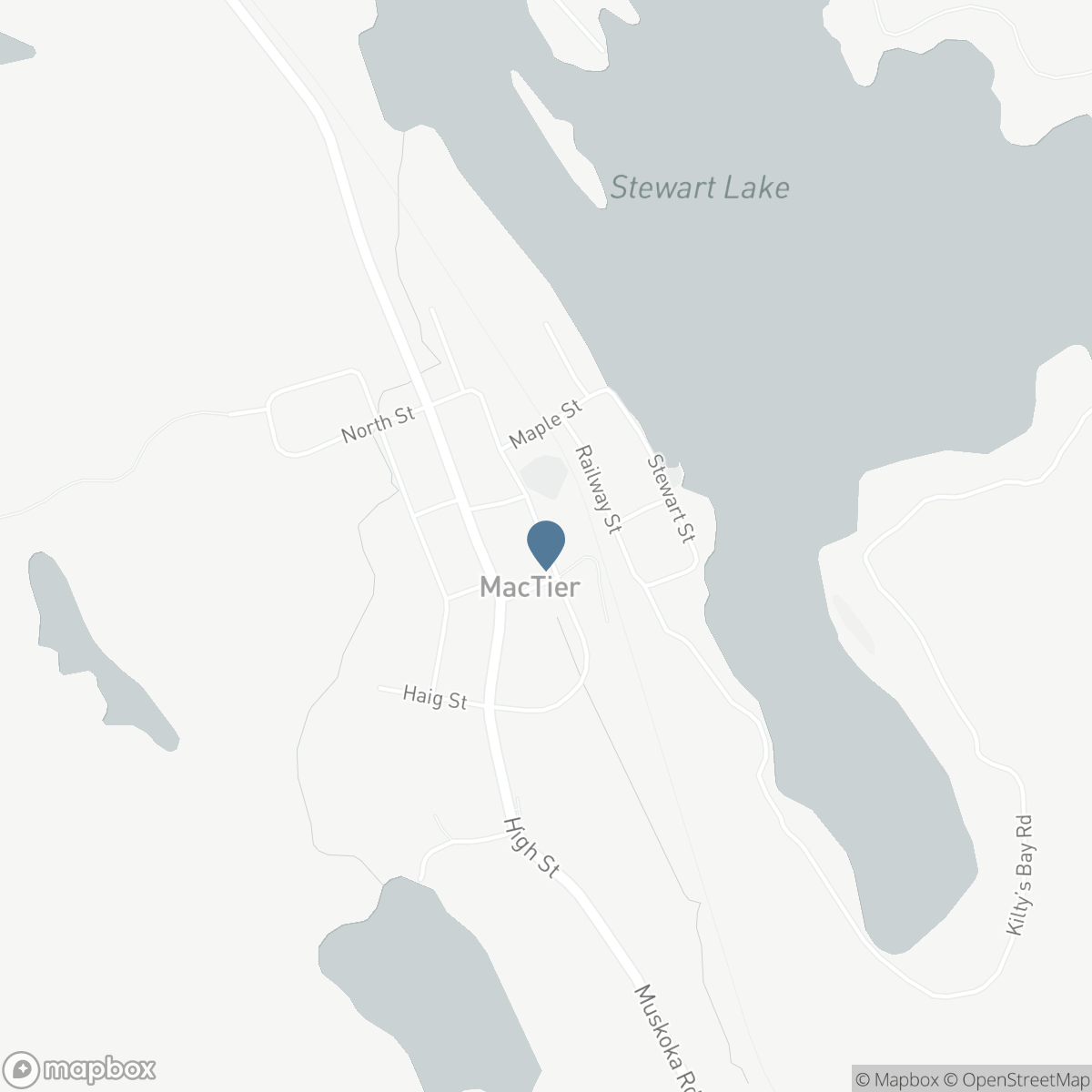 6 - 4805 MUSKOKA DISTRICT 169 ROAD, MacTier, Ontario P0C 1H0